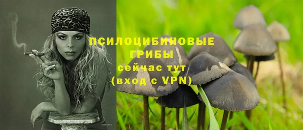 бошки Карталы