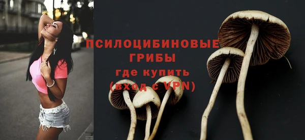 каннабис Карпинск
