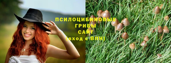 не бодяженный Касимов
