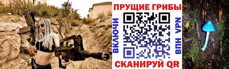 где купить наркоту  Луза  Галлюциногенные грибы Psilocybe 